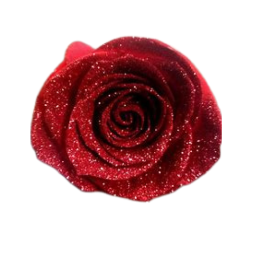 Glitter Roses